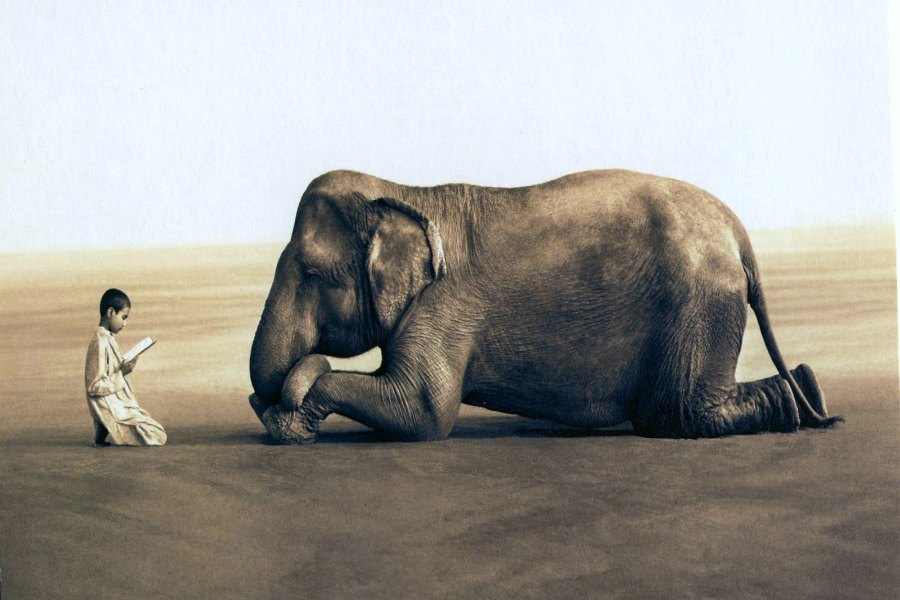 L’enfant et l’éléphant de Grégory Colbert